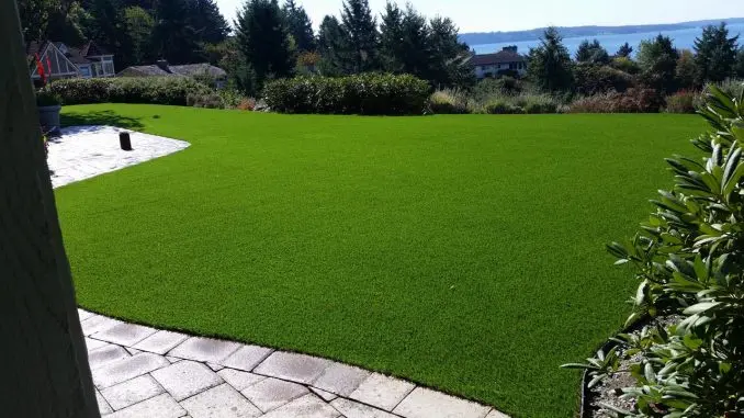 Residential turf in Dallas