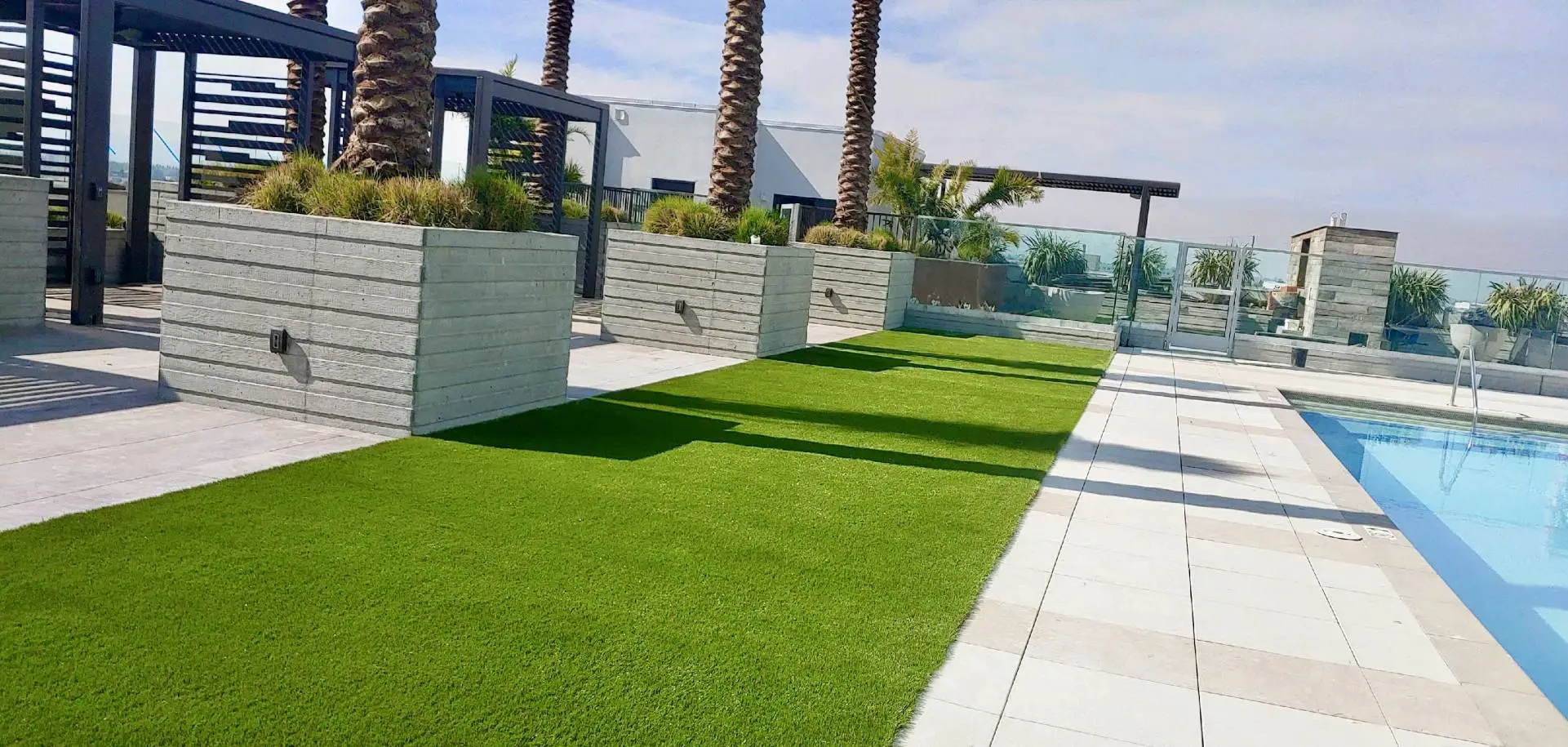 Residential turf in Dallas