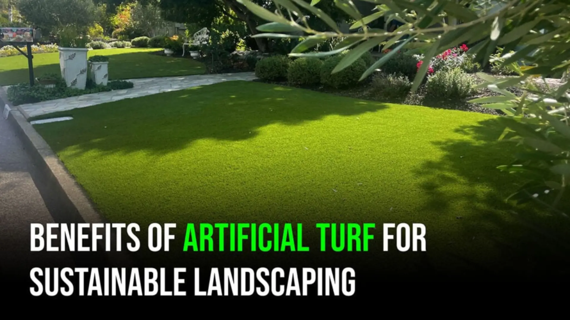 Residential turf in Dallas