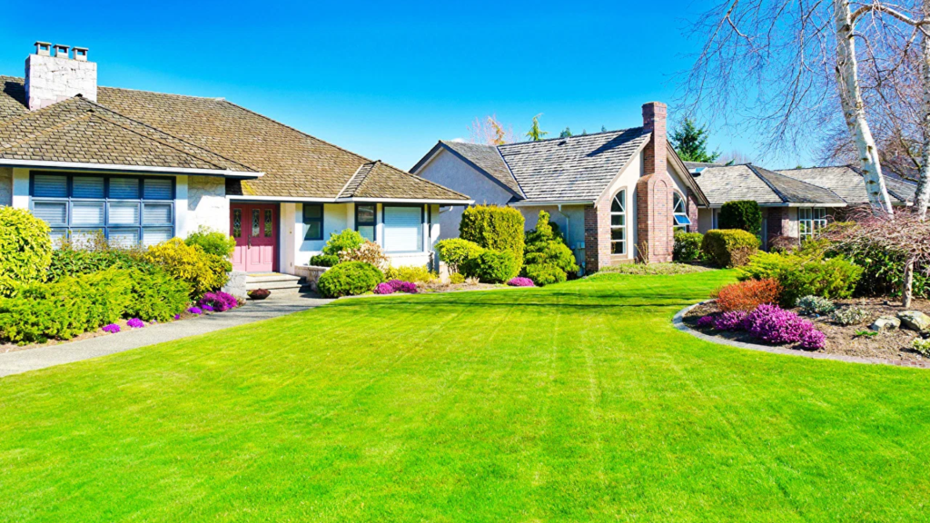 The Installation Journey: Bringing Your Dream Lawn to Life