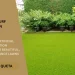 residential artificial turf installation near Dallas