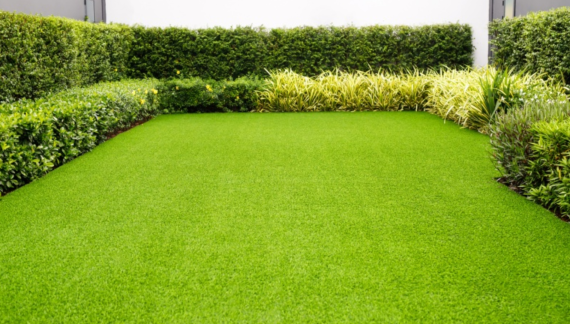 Purchase Green Grass