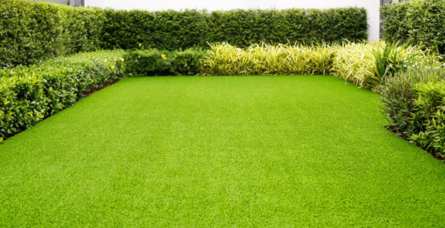 Purchase Green Grass