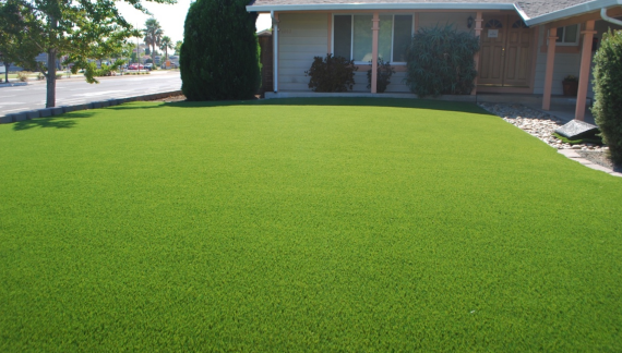 Purchase Green Grass in Dallas