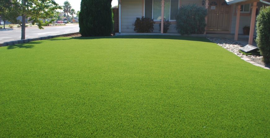 Purchase Green Grass in Dallas
